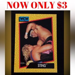 Sting 1991 Rookie RC WWE WCW Wrestling Card